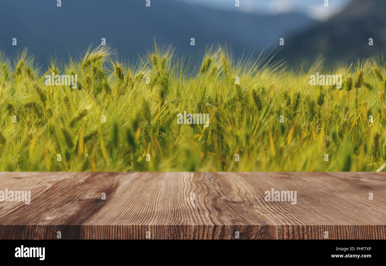 Weizen ähren Feld Hintergrund, grüne Weizen mit Holzboden Stockfoto