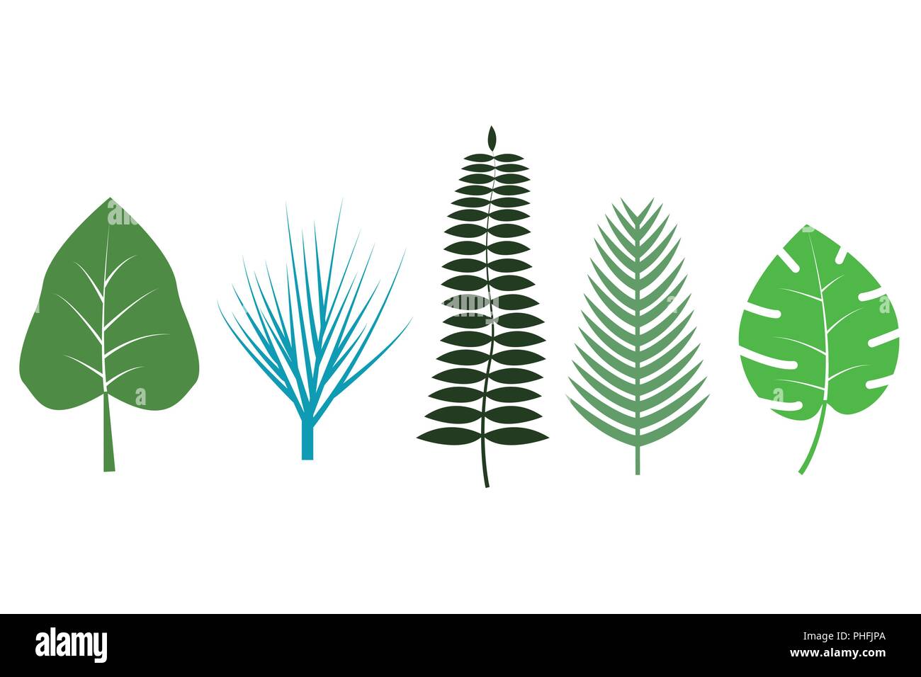 Verschiedene tropische Blätter auf weißem Hintergrund Vektor Stock Vektor