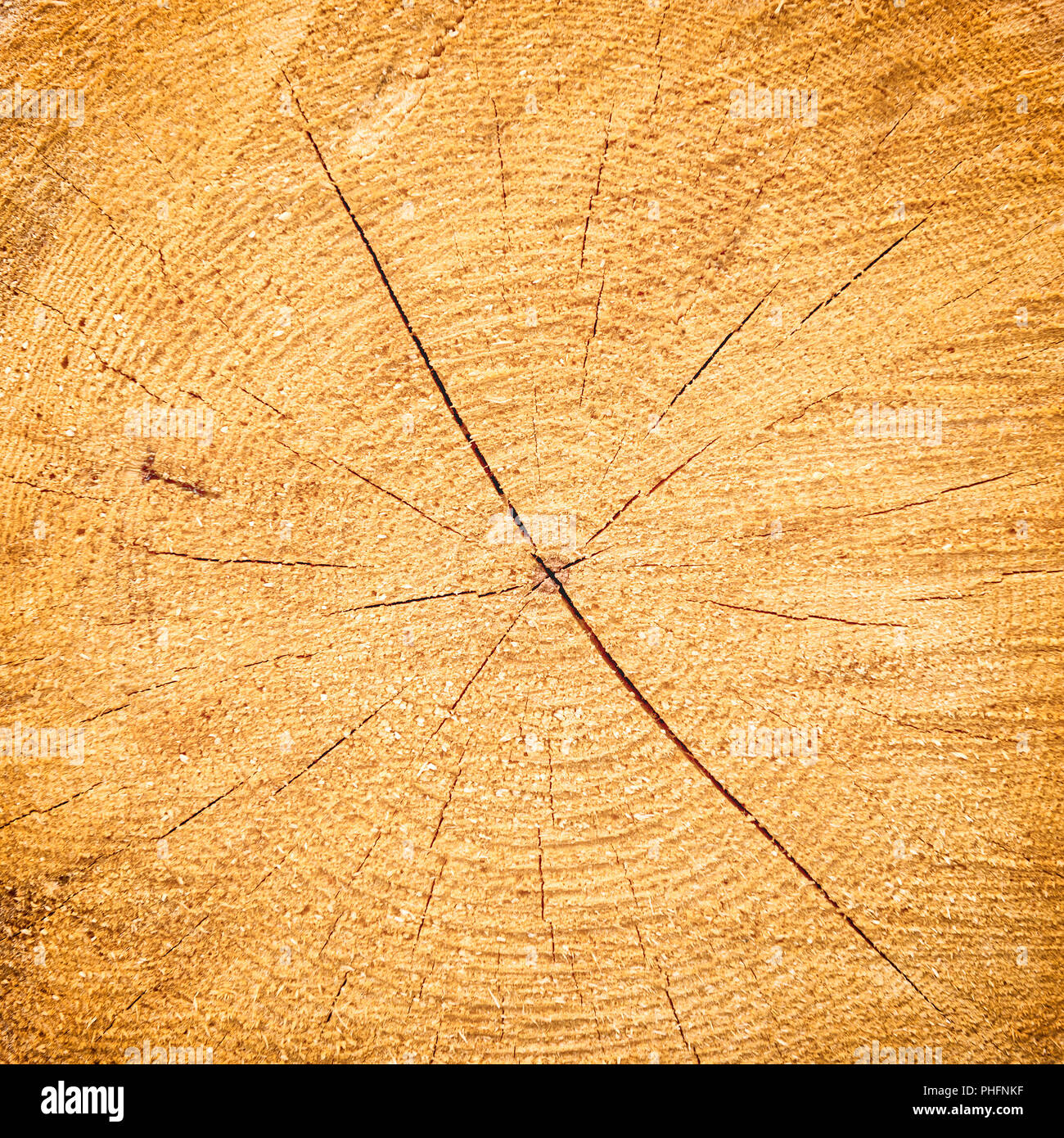 Hellgelb geknackt Holz Textur Stockfoto
