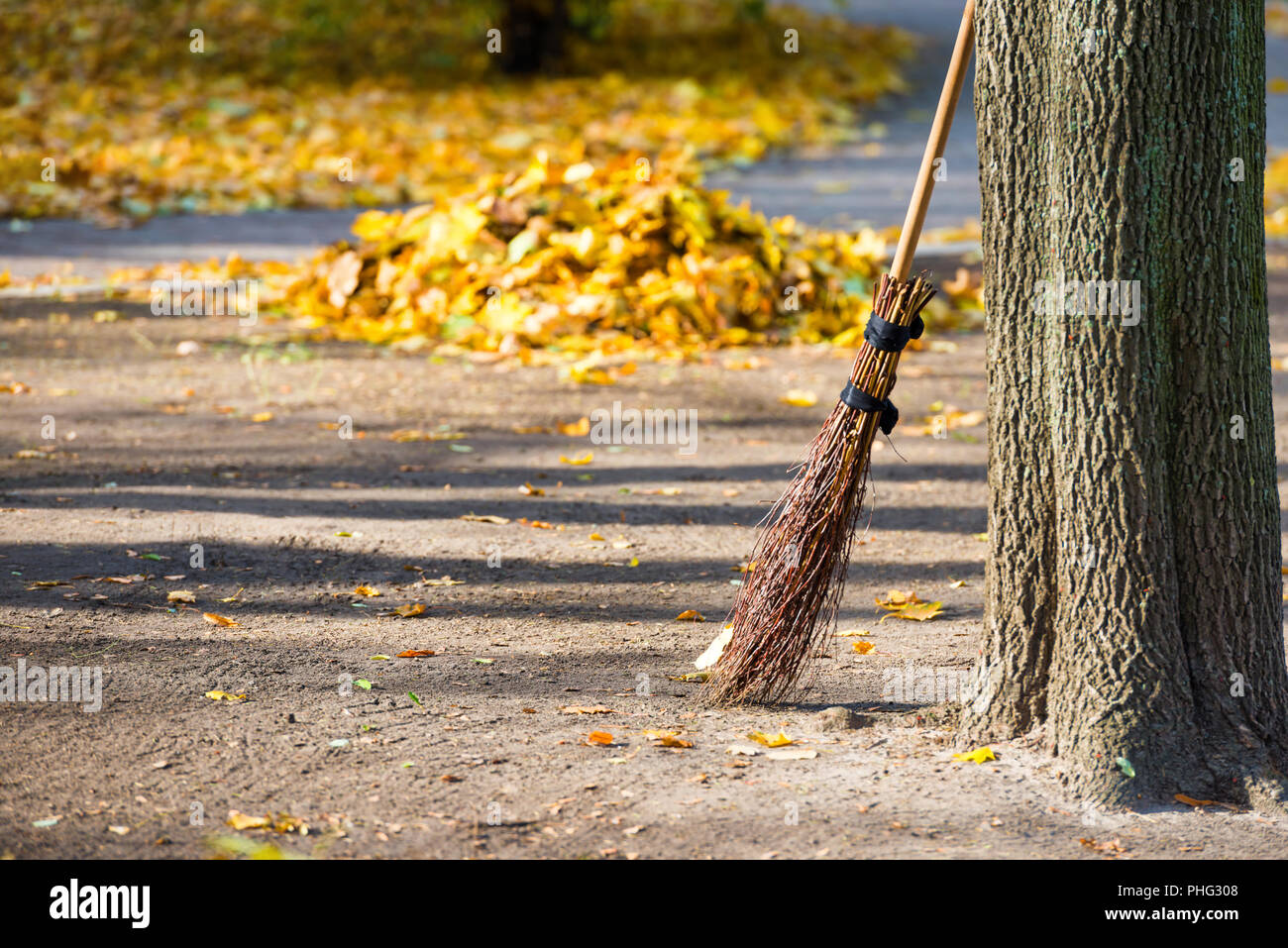 Reinigung im Herbst Park Stockfoto