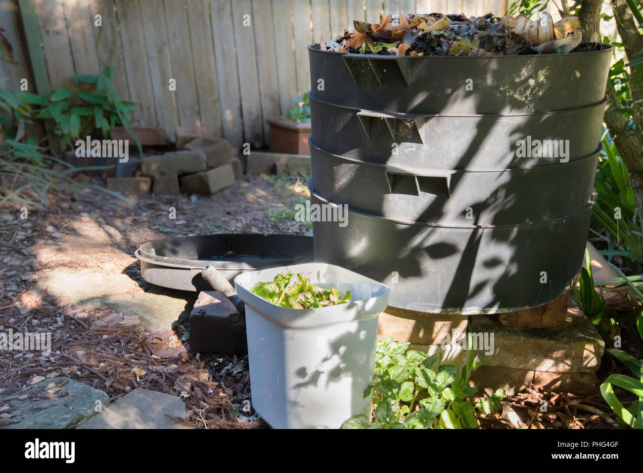 Ein Wurm in einem Sydney Hinterhof geladen mit Papier und pflanzliche Reste und hungrige Würmer Stockfoto