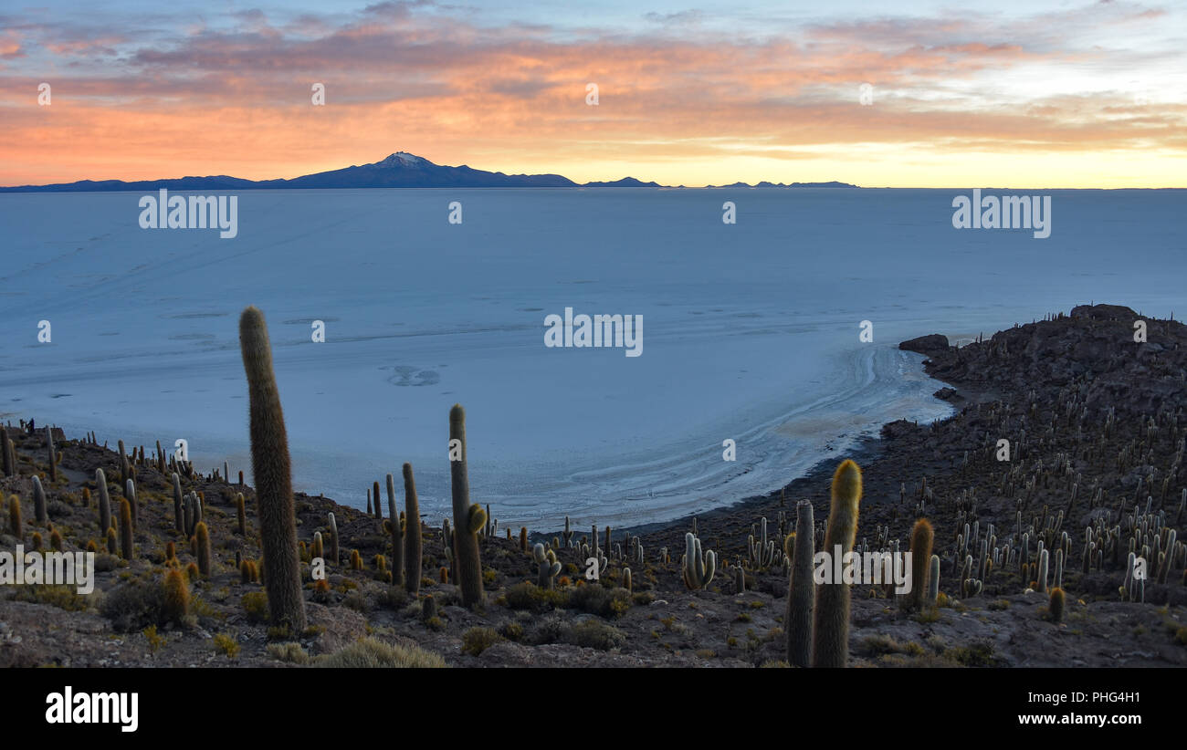Sonnenaufgang auf dem Salar de Uyuni von Isla Incahuasi. Uyuni, Bolivien Stockfoto