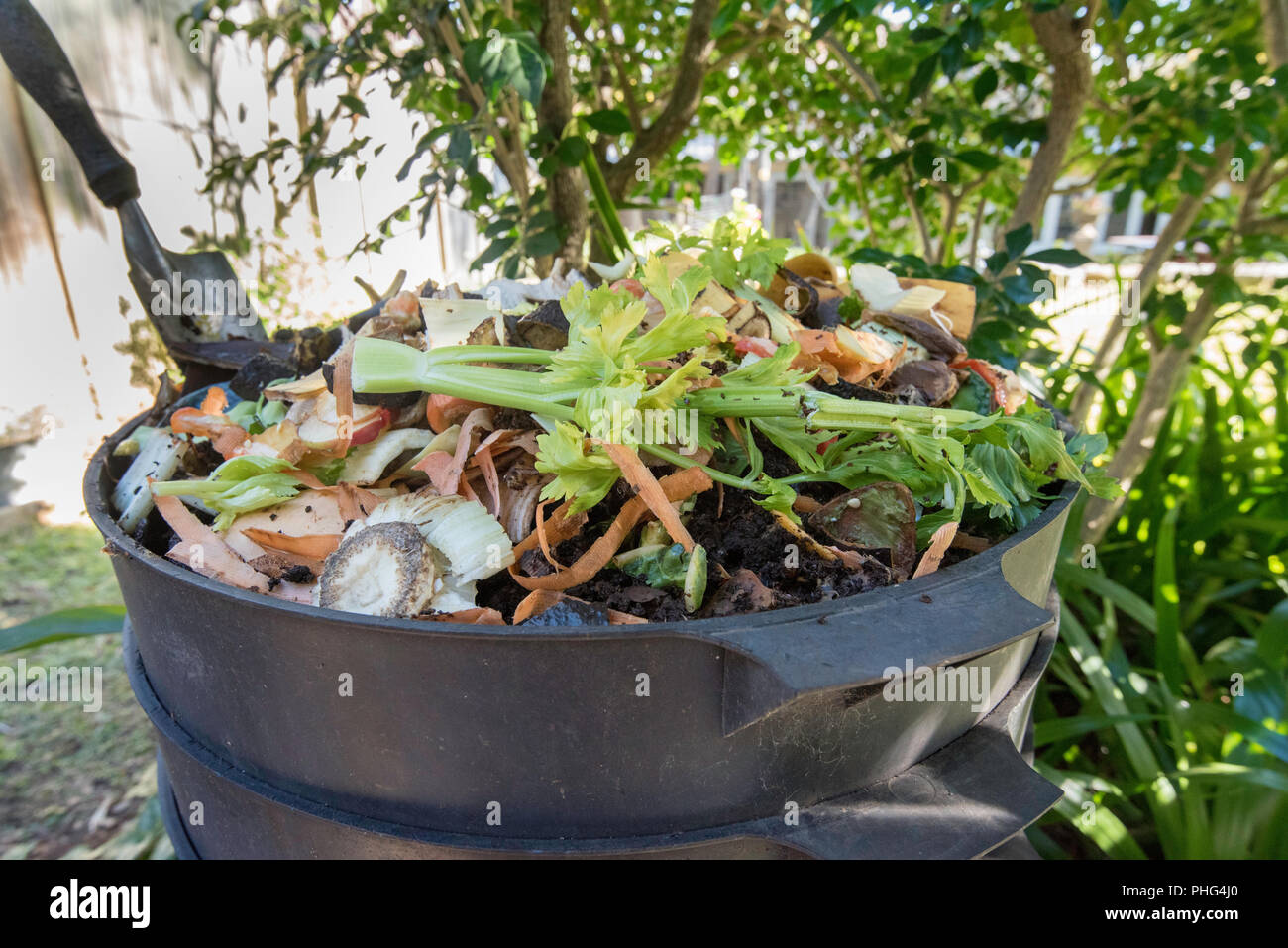 Ein Wurm in einem Sydney Hinterhof geladen mit Papier und pflanzliche Reste und hungrige Würmer Stockfoto