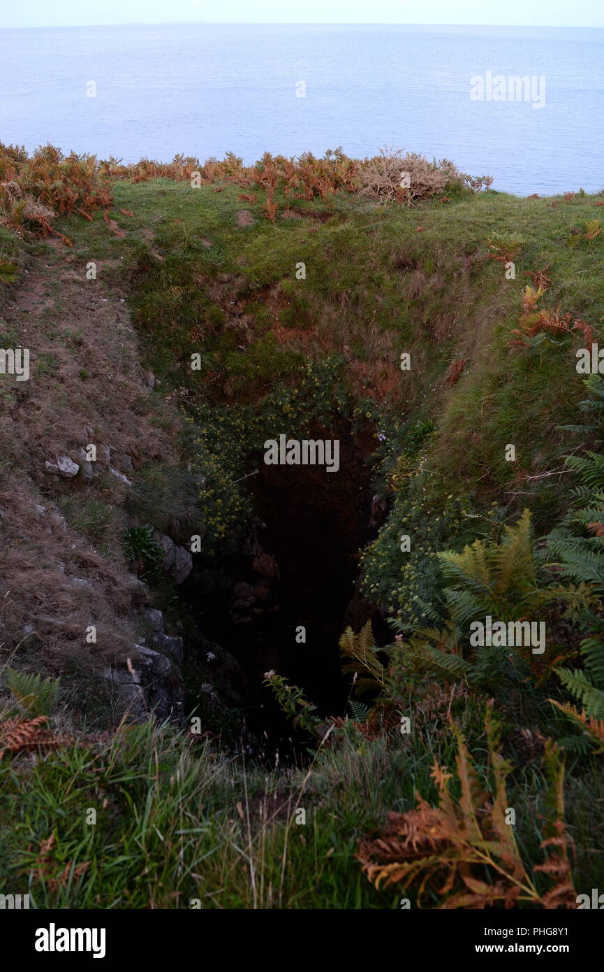 Blow Hole mit seitlichem Eingang der Höhle an der Basis. Wave Aktion hat Schwächen im Felsen ausgenutzt diese vertikale Welle zu bilden. Stockfoto