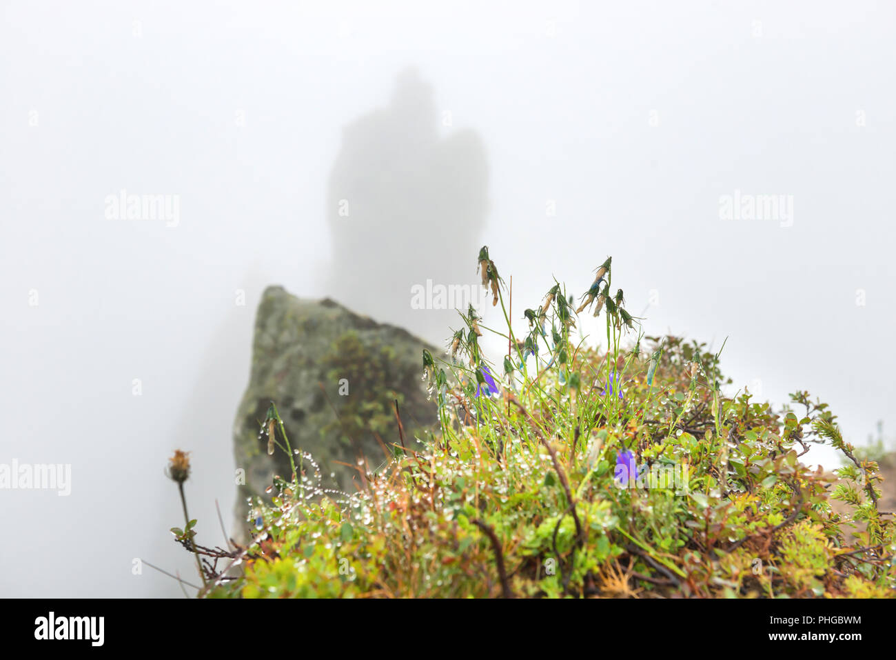 Nebel in den Bergen Stockfoto