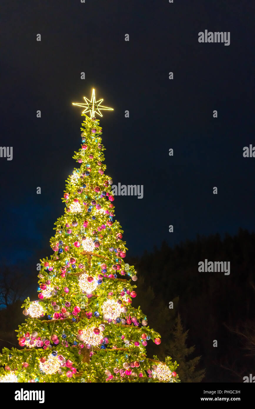 Riesige Weihnachtsbaum Stockfoto