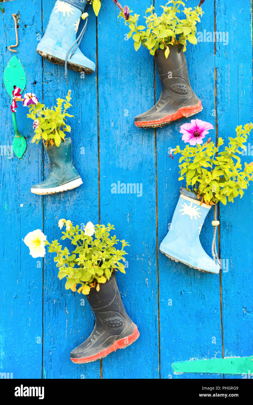 Alte Gummistiefel mit blühenden Blumen Stockfotografie - Alamy