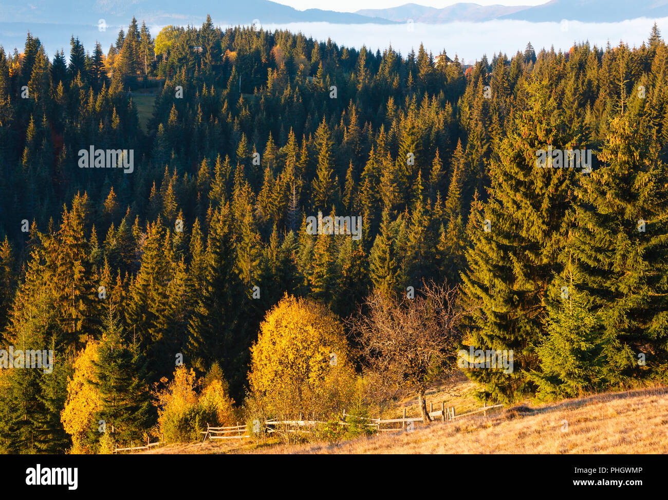 Herbst karpatischen Dorf, Ukraine. Stockfoto