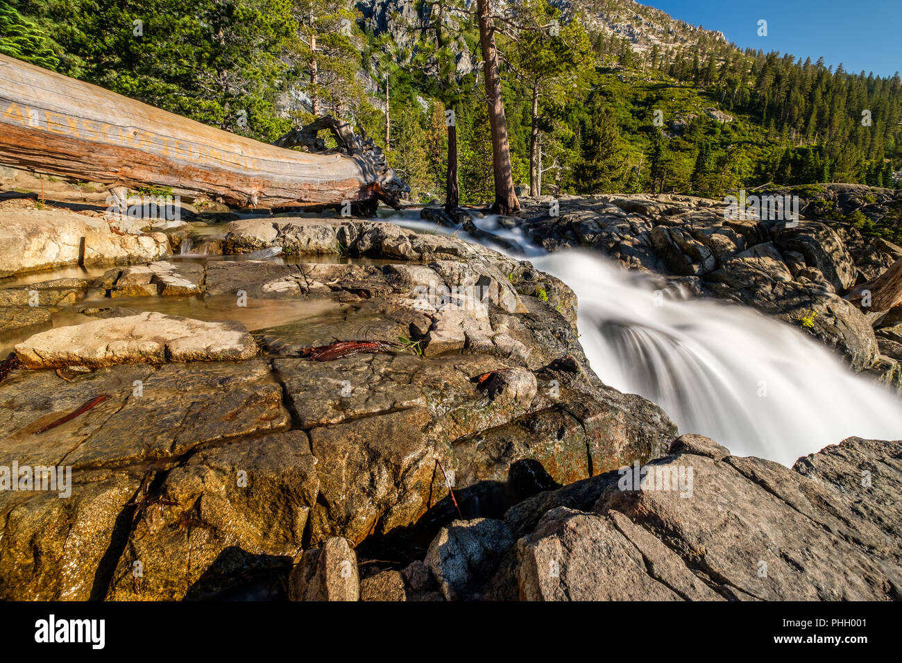 Adler fällt am Lake Tahoe - Kalifornien, USA Stockfoto