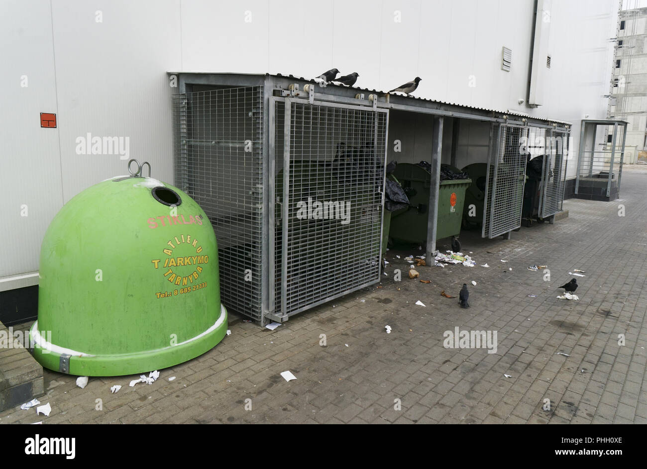Garbage Vögel und Container in der Nähe shop Stockfoto