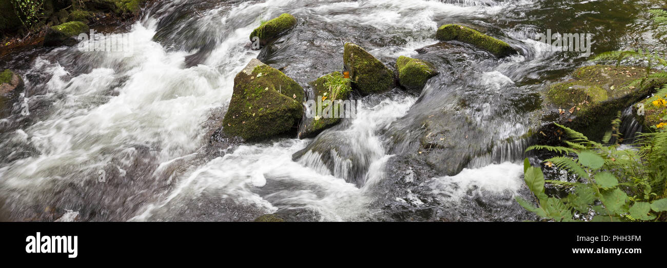 Enz im Schwarzwald Stockfoto