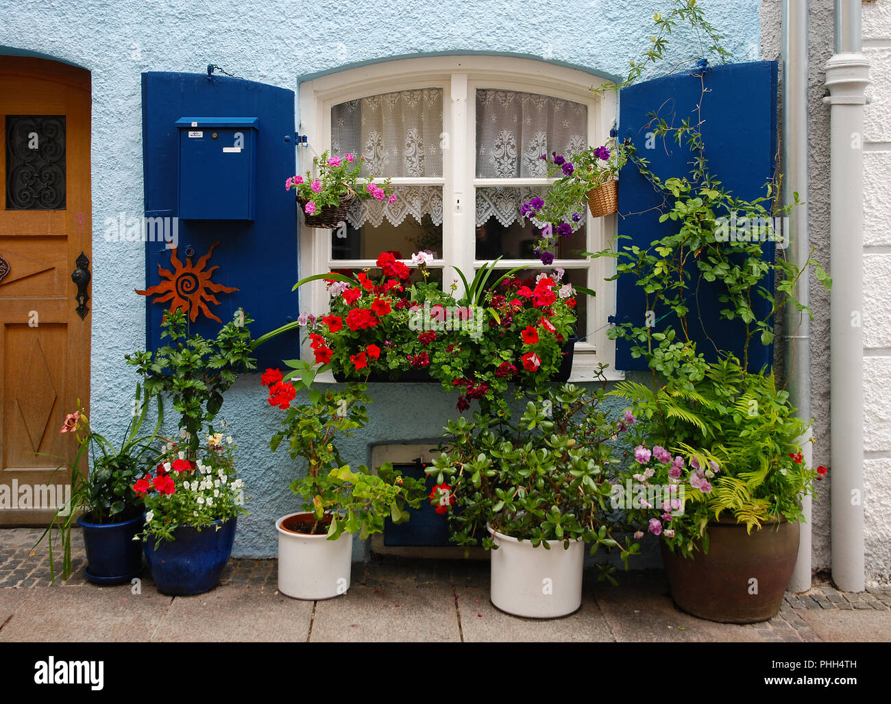 Blumenschmuck; Blumen vor einem blauen Fenster; Stockfoto