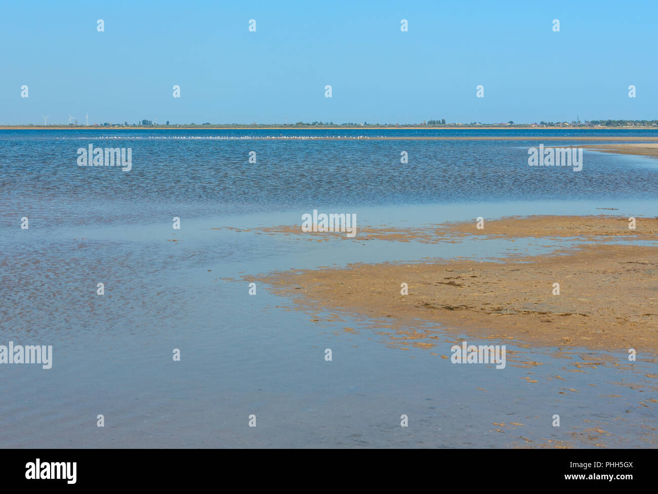 Ustrychne See (Lazurne, Kherson, Ukraine) Stockfoto