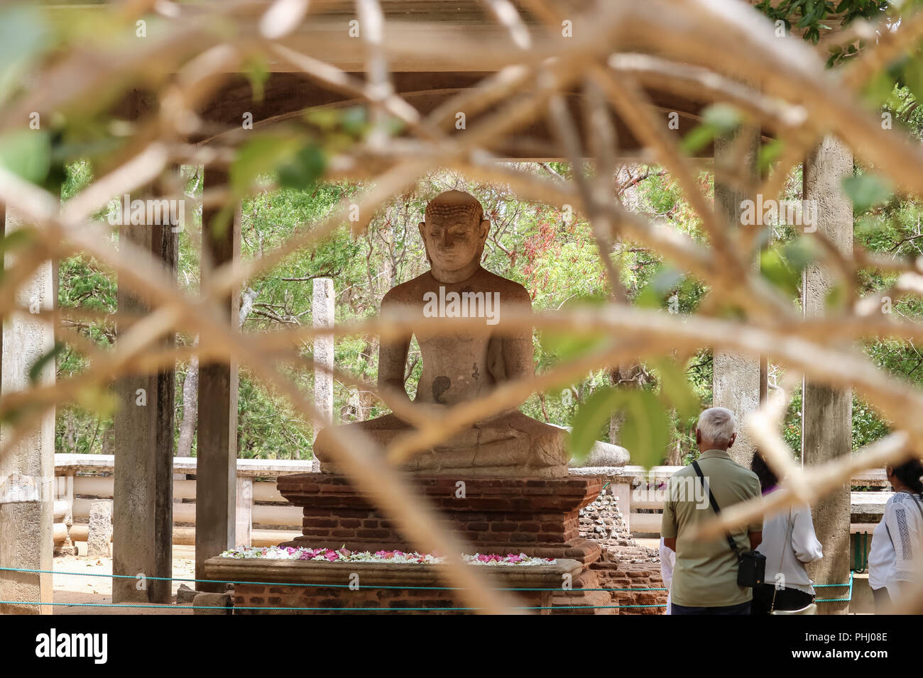 Samadhi Buddha Statue, durch Äste, Anuradhapura, Sri Lanka Stockfoto