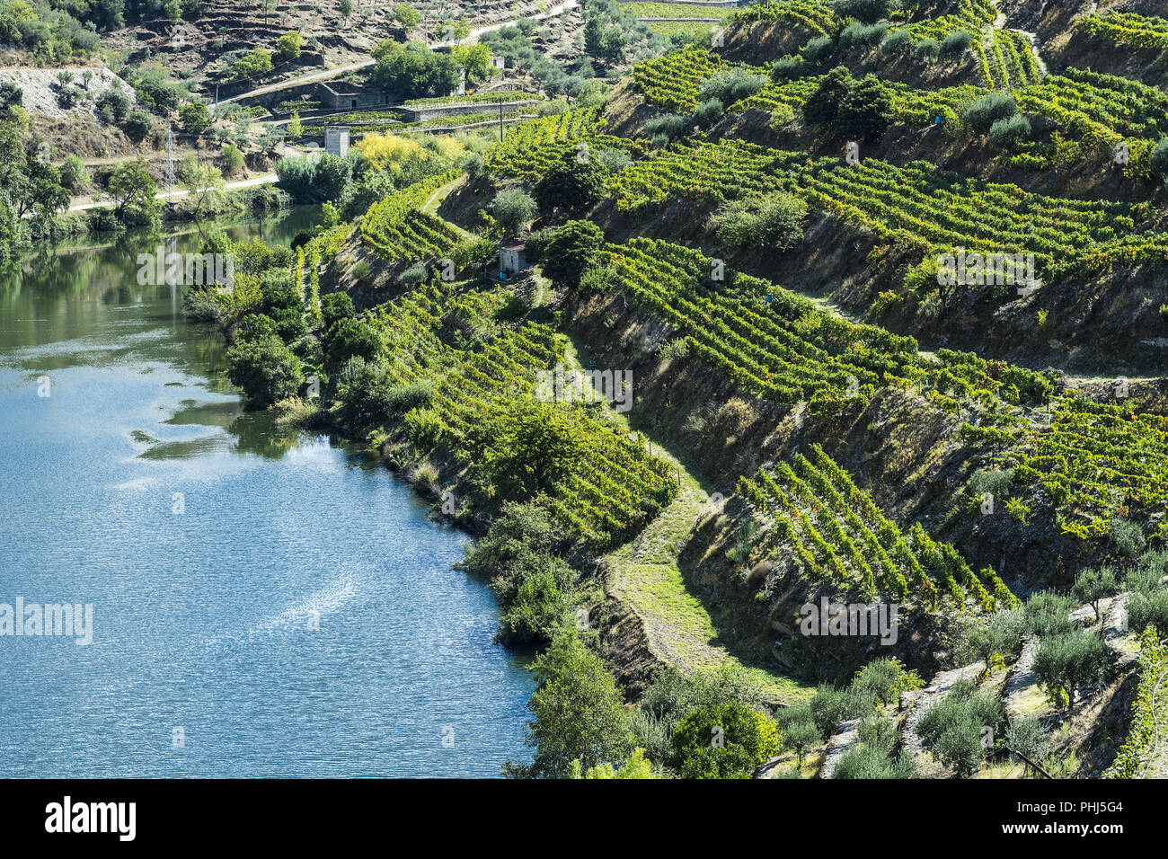 Blick auf den portugiesischen Natur Stockfoto