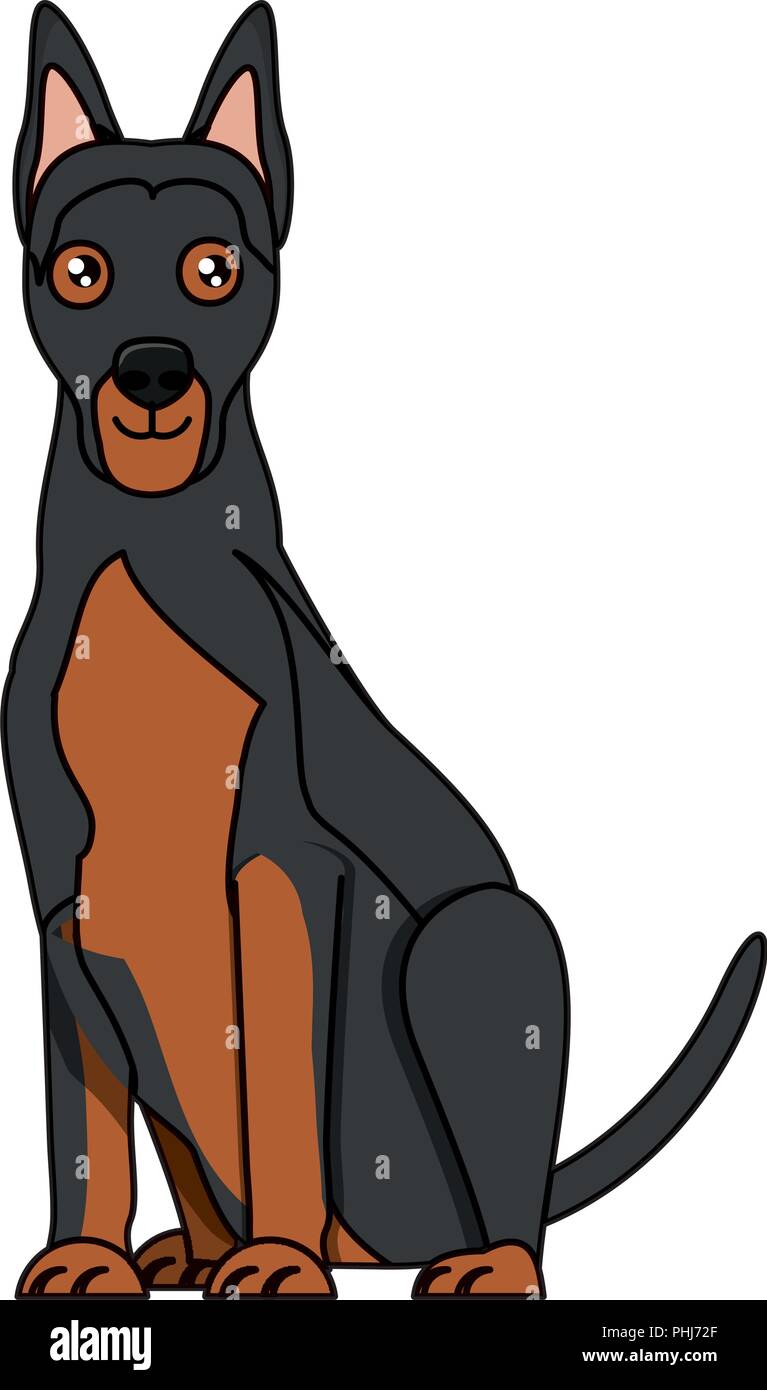 Süße Dobermann hund Symbol über Hintergrund, Vector Illustration Stock Vektor