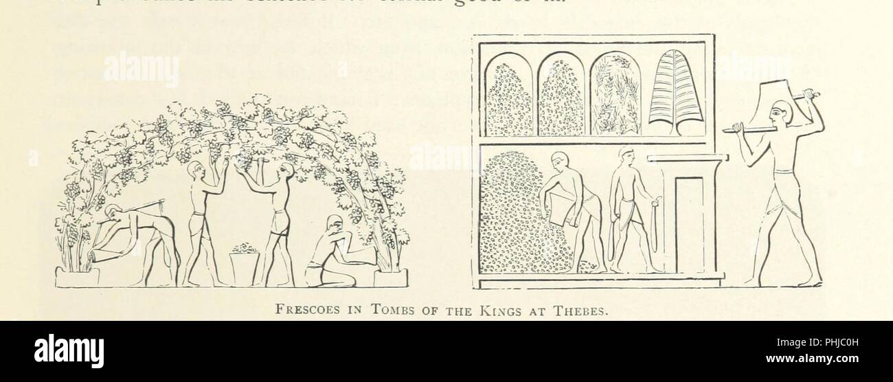 Bild von Seite 123 "Das Land der Pharaonen ... Teilweise von R. Lovett geschrieben... Mit einem zusätzlichen Kapitel über die jüngsten Entdeckungen von Professor Flinders Petrie". Stockfoto