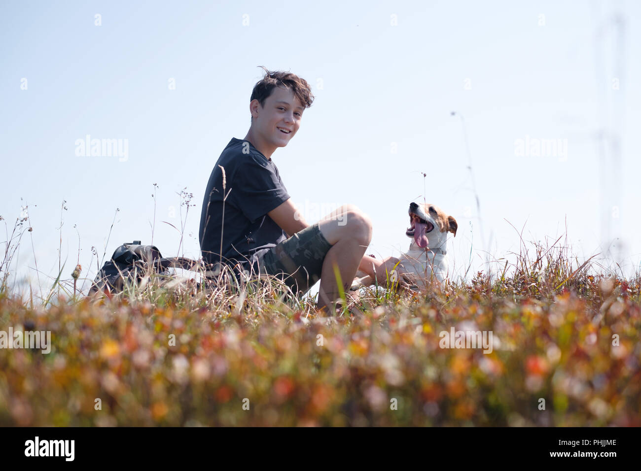 Teenager auf Herbst Rasen mit kleinen weißen Hund Stockfoto