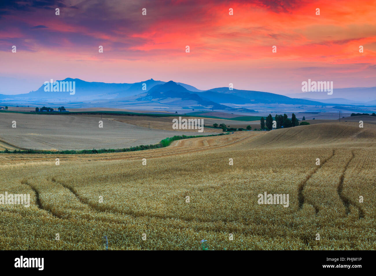 Sonnenuntergang und Müsli Ackerland. Tierra Estella. Navarra, Spanien, Europa. Stockfoto