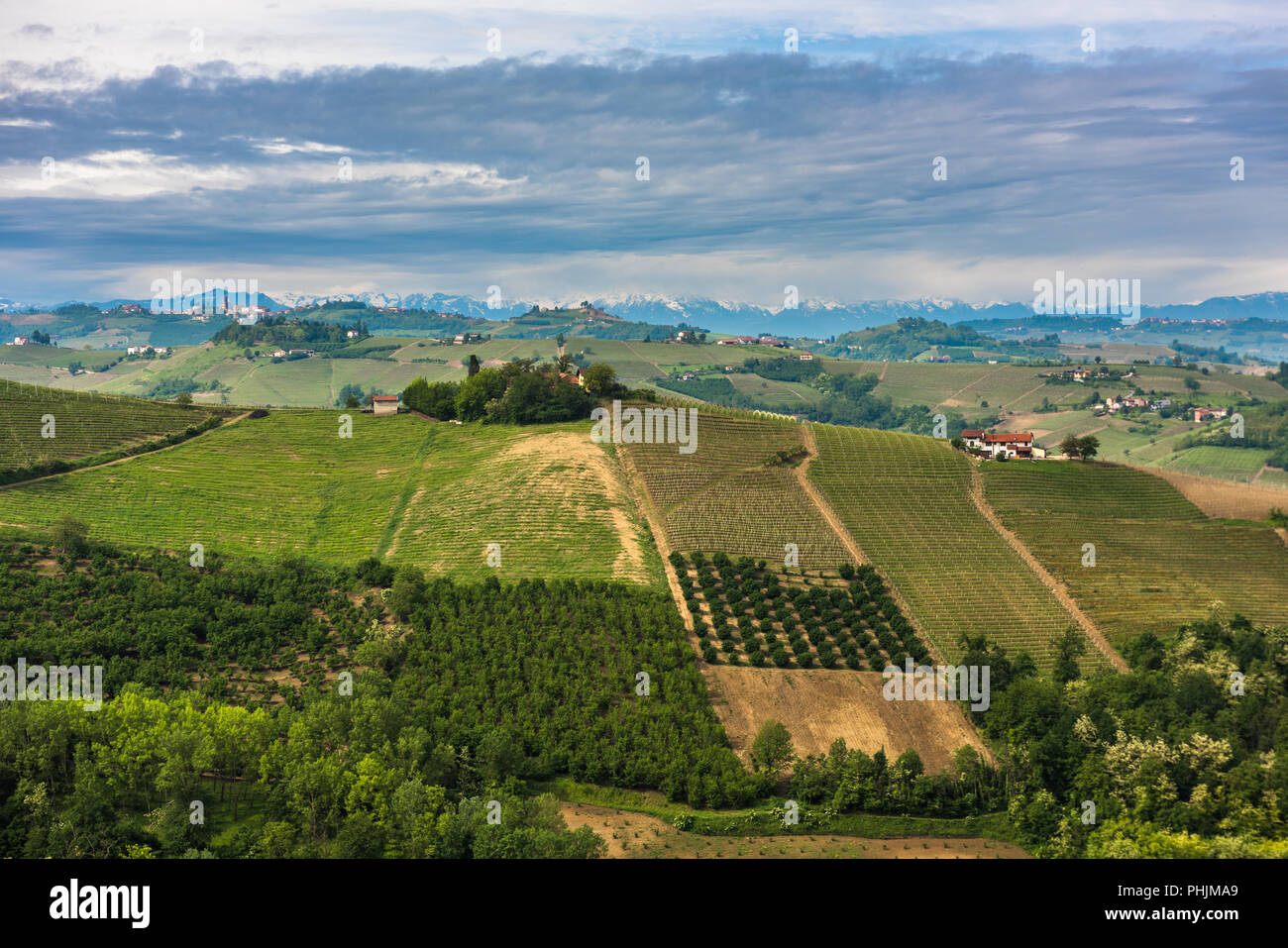 Weinberge der Langhe, Piemont, UNESCO-Welterbe Stockfoto