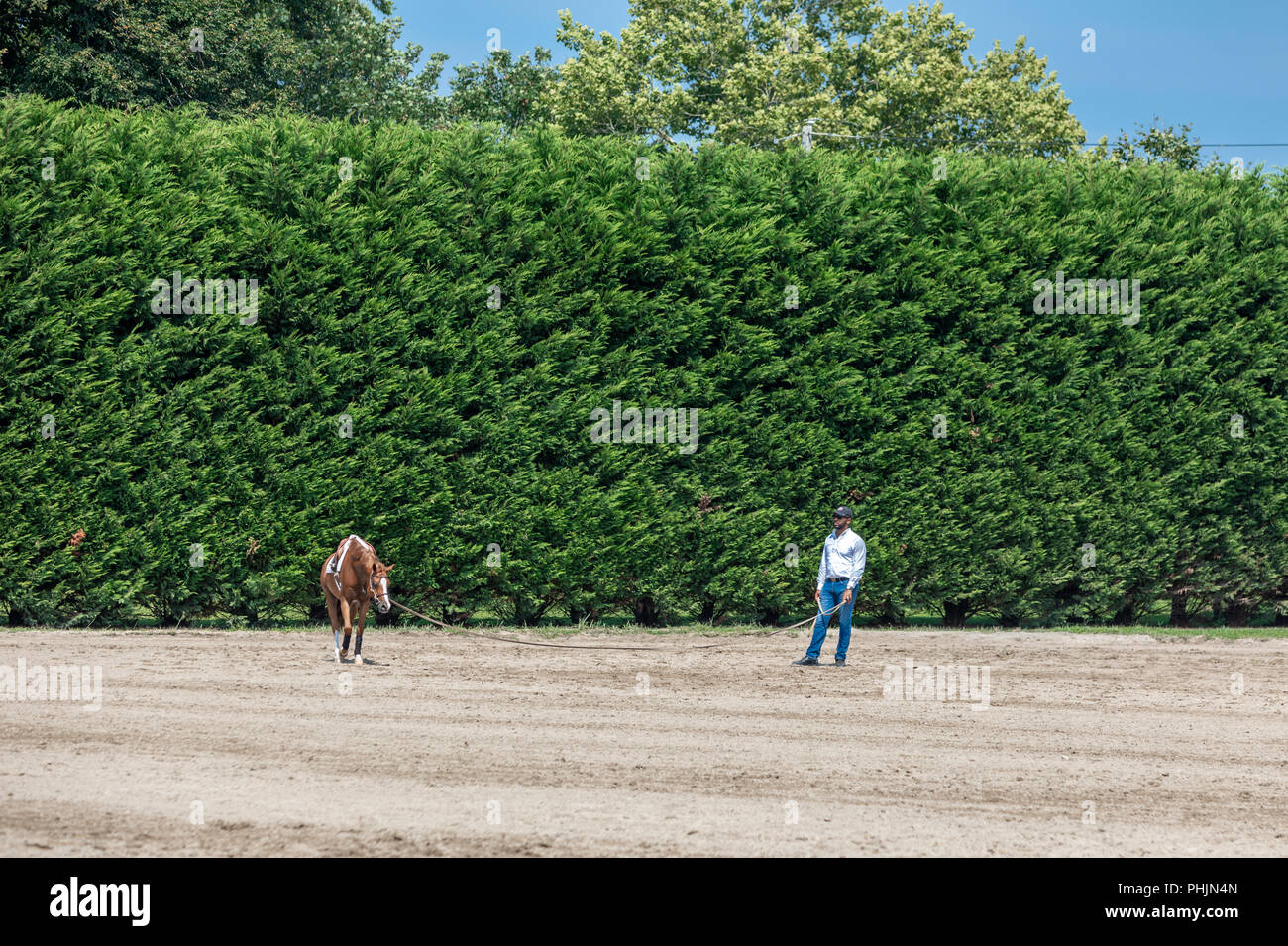 Mann mit einem Pferd auf einer Leitung an der Hampton Classic in Bridgehampton Stockfoto Mann mit einem Pferd auf einer Leitung an der Hampton Classic in Bridgehampton Stockfoto