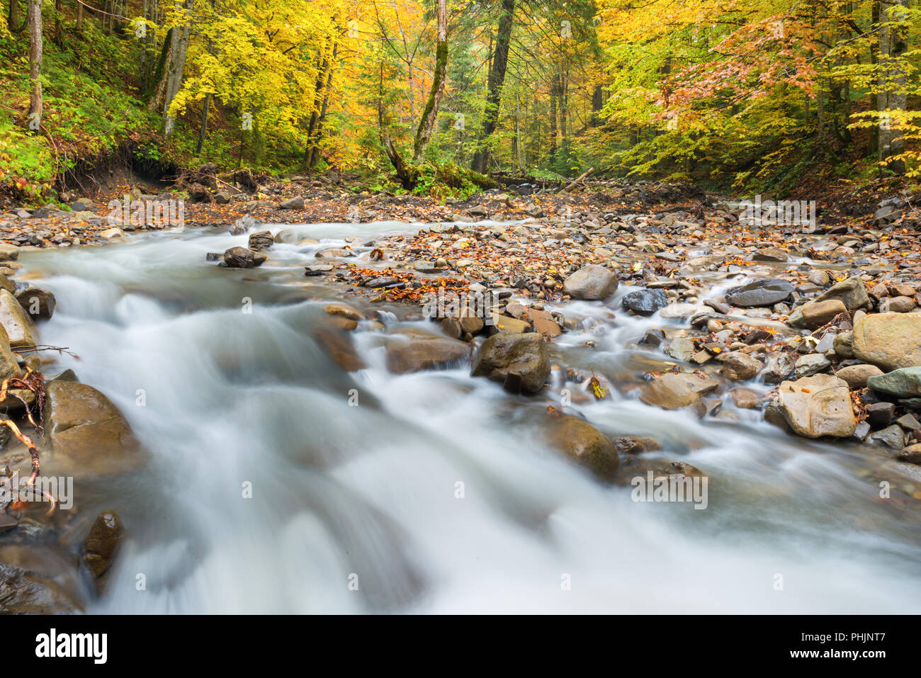 Fluss im herbstlichen Wald Stockfoto