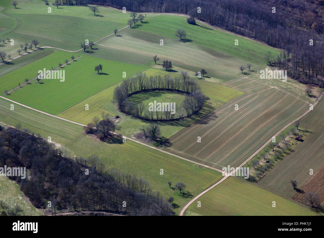 Maulburg, Kreis der Bäume Stockfoto