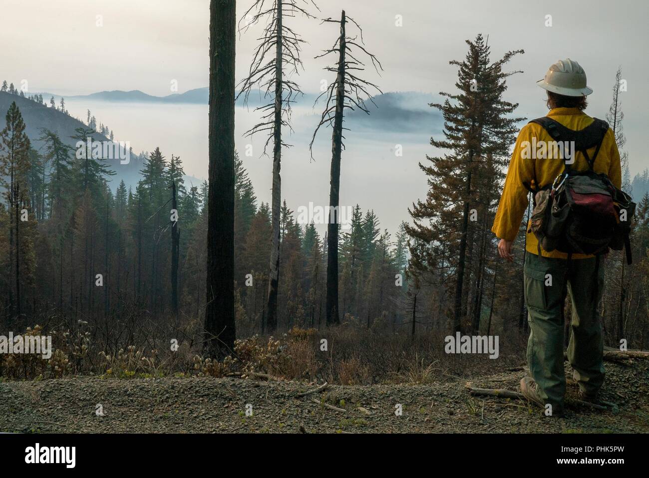 Ein backcountry wildfire Feuerwehrmann blickt auf die Taylor Creek Feuer brennen in der Rogue River Siskiyou National Forest August 8, 2018 in der Nähe von Grants Pass, Oregon. Stockfoto