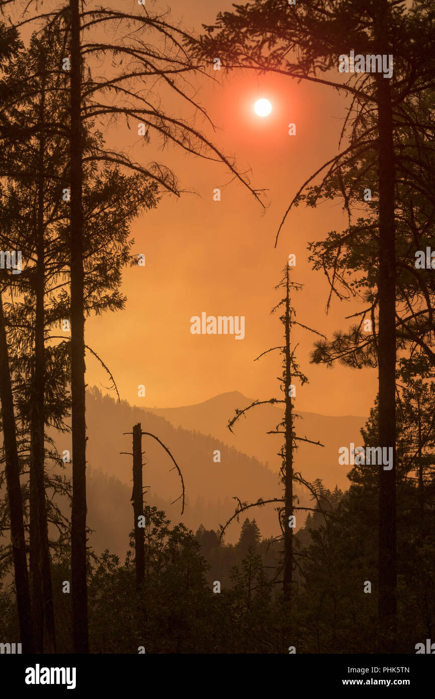 Flammen und Rauch den Tag in die Nacht an der Taylor Creek und Klondike Feuer brennen in der Rogue River Siskiyou National Forest August 11, 2018 in der Nähe von Grants Pass, Oregon. Stockfoto