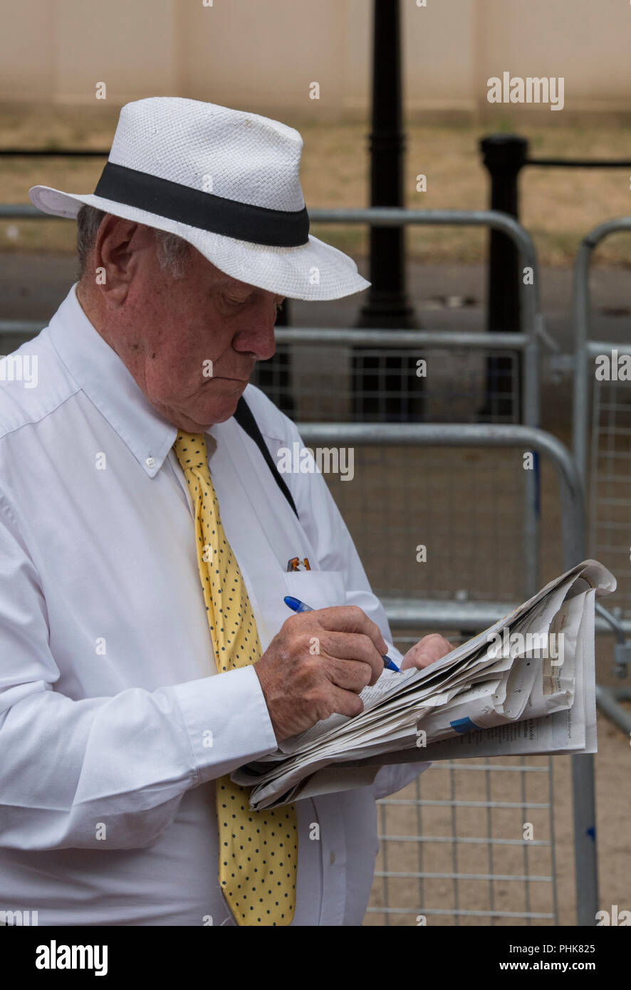 Mann, der intelligente Kleidung und ein Panama Hut tun das Kreuzworträtsel  und die Zeitung lesen Stockfotografie - Alamy