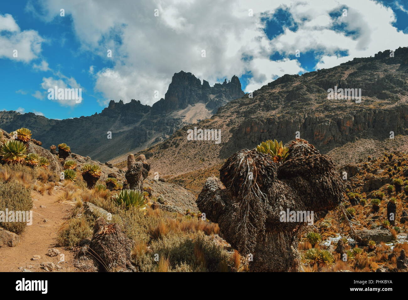 Mount Kenia höchster Gipfel, Batian Peak, Mount Kenya National Park Stockfoto