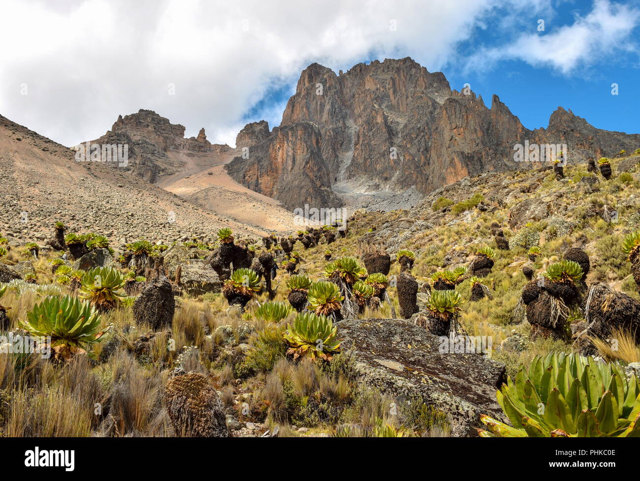 Mount Kenia höchster Gipfel, Batian Peak, Mount Kenya National Park Stockfoto