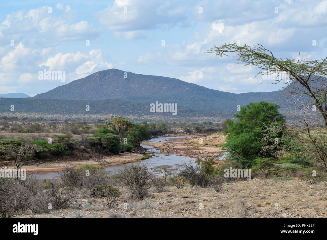 Ewaso Nyiro in Samburu, Kenia Stockfoto