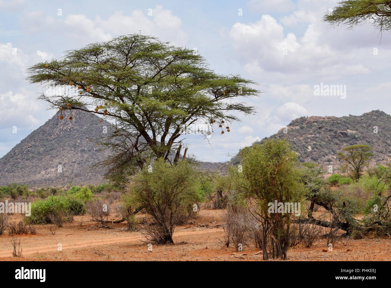 Ewaso Nyiro in Samburu, Kenia Stockfoto
