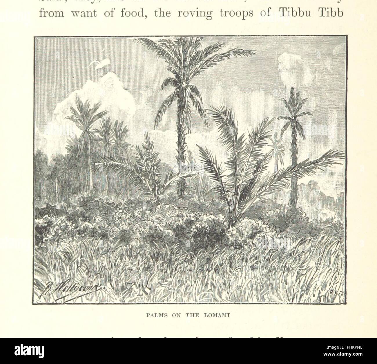Bild von Seite 262 von 'My Zweite Reise durch Äquatorial Afrika... in... 1886 und 1887... Übersetzt... von M. J. A. Bergmann. Mit einer Karte ... und ... Abbildungen, etc'. Stockfoto