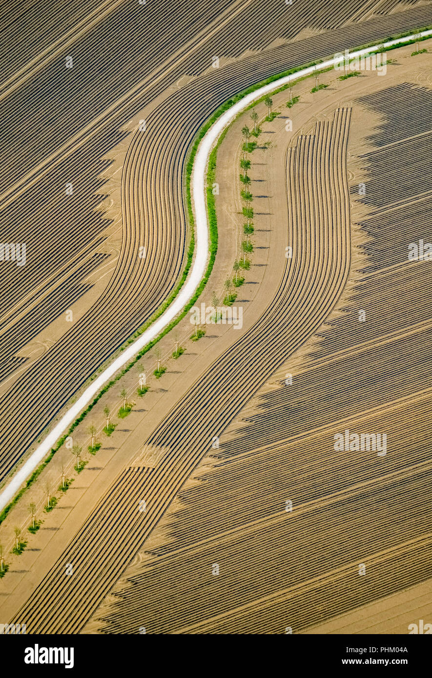 Luftaufnahme, Feld mit Schmutz der Straße zwischen einem Der Linde und Castroper Straße in Sodingen, Feld, geeggt Feld, Reifenspuren, Grafik Titel, Herne, Ruh Stockfoto