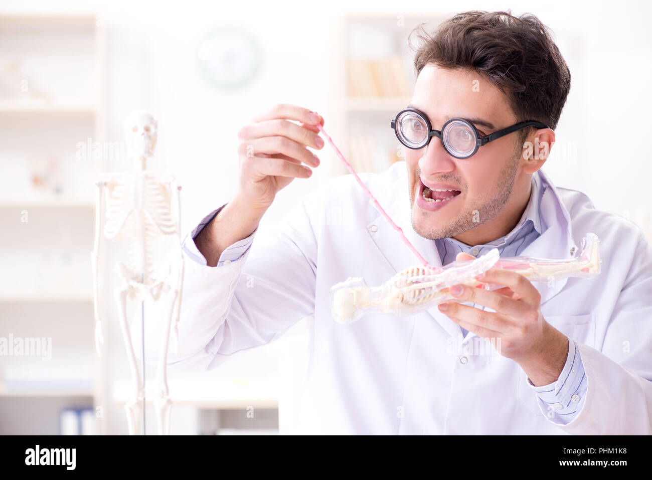 Crazy Arzt Studium menschliche Skelett Stockfoto