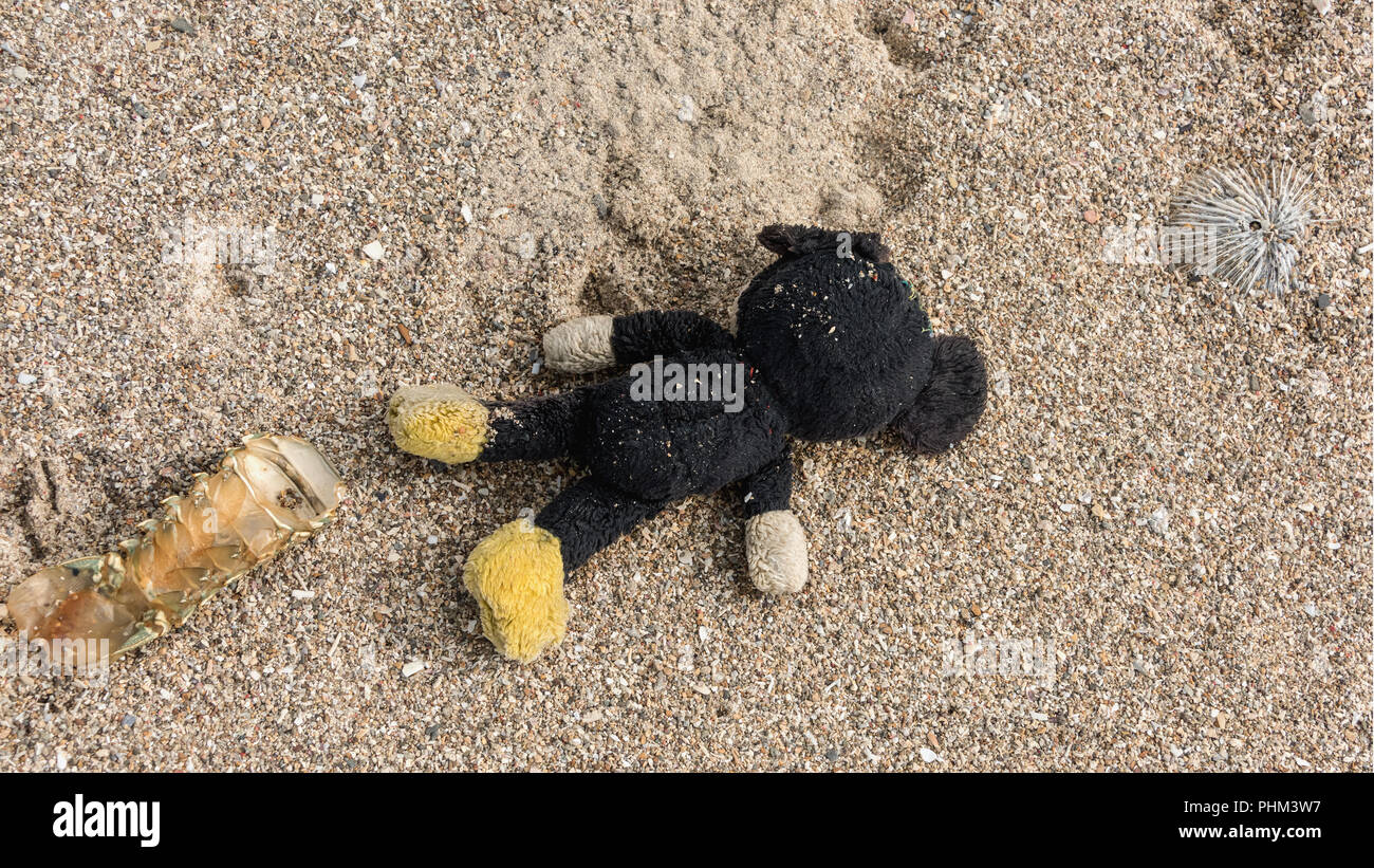 Das Leben im Meer, Hummer Schwanz, Seeigel shell und ein Teddybär, gewaschen, auf Komodo Island Beach, Indonesien Stockfoto