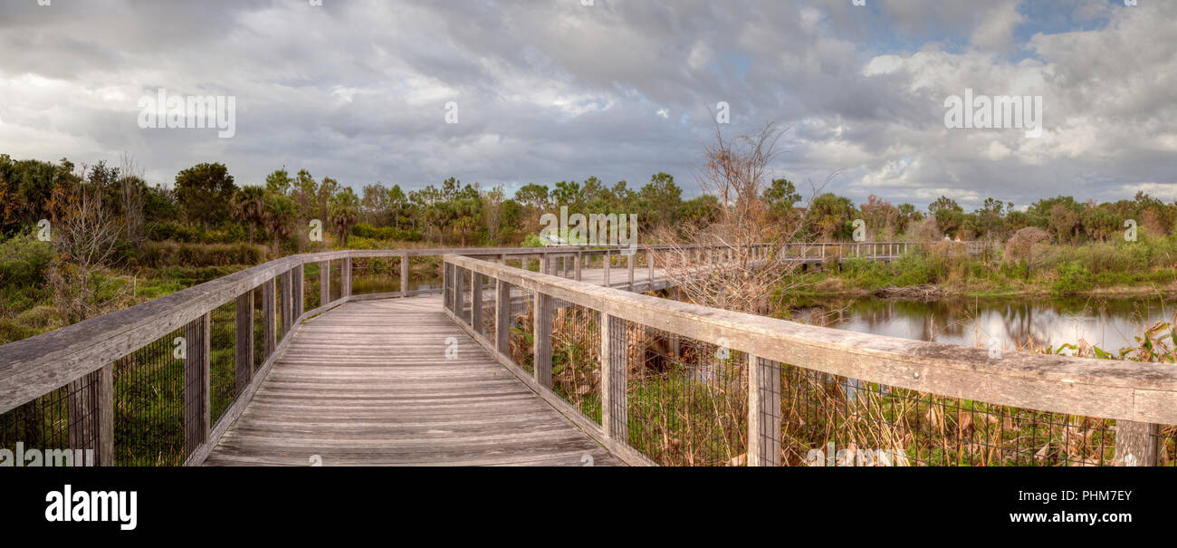 Holz-, alleinstehende, ruhige Promenade entlang einer Marsh Teich Stockfoto