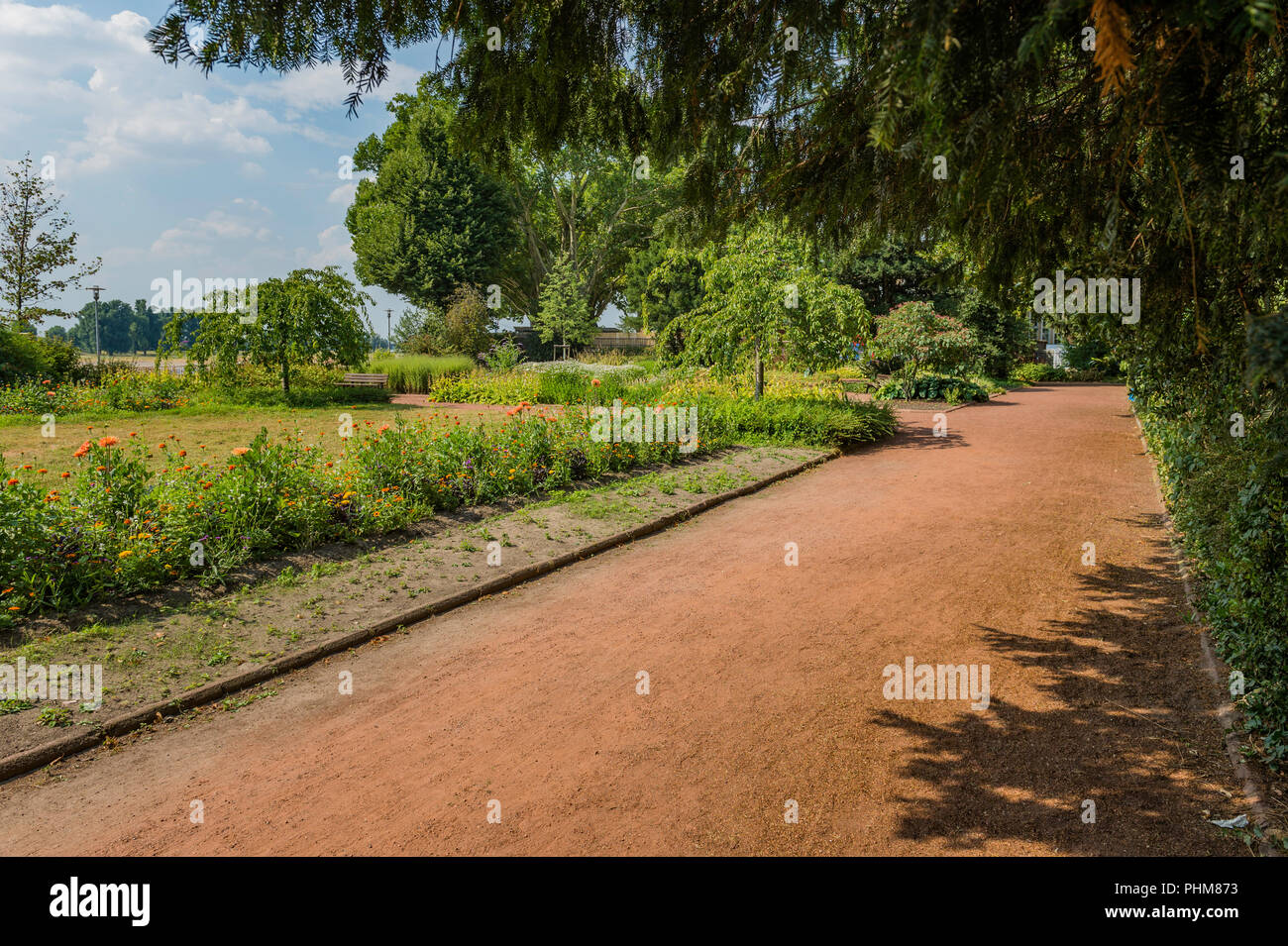 Bäume und Blumen neben einem Weg am Rheinpark Golzheim Park in Düsseldorf, Deutschland an einem sonnigen Tag. Stockfoto