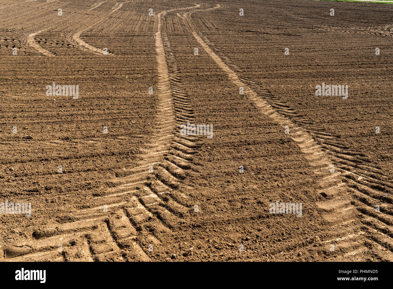 Felder in der intensiven Landwirtschaft Stockfoto