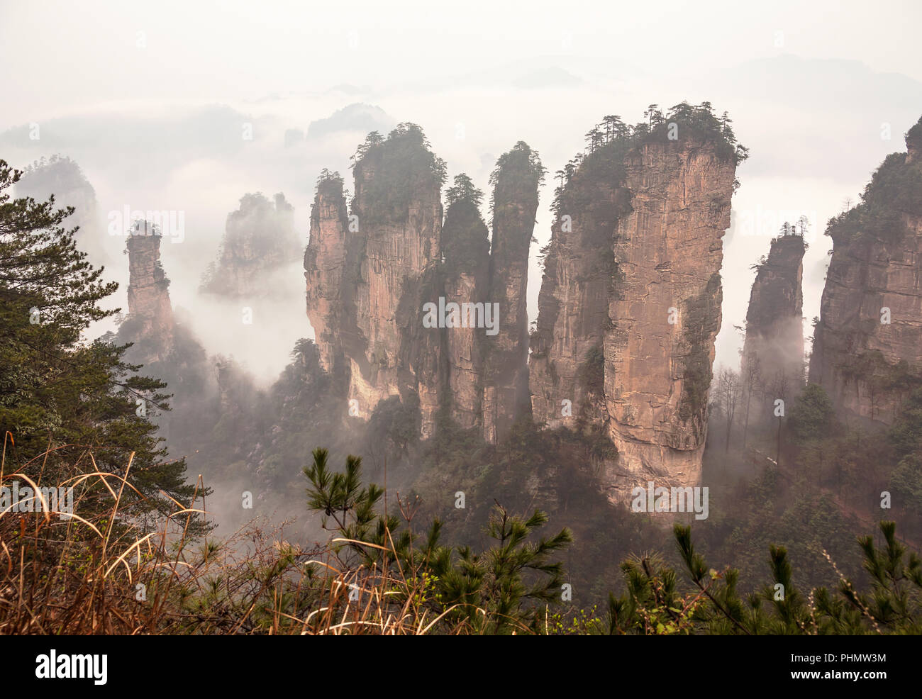 Geheimnisvolle Zhangjiajie Berge. Unesco-Weltkulturerbe. Stockfoto