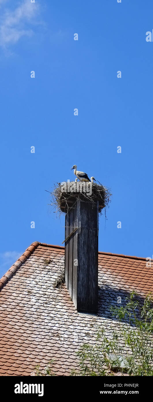 Stork's Nest Stockfoto