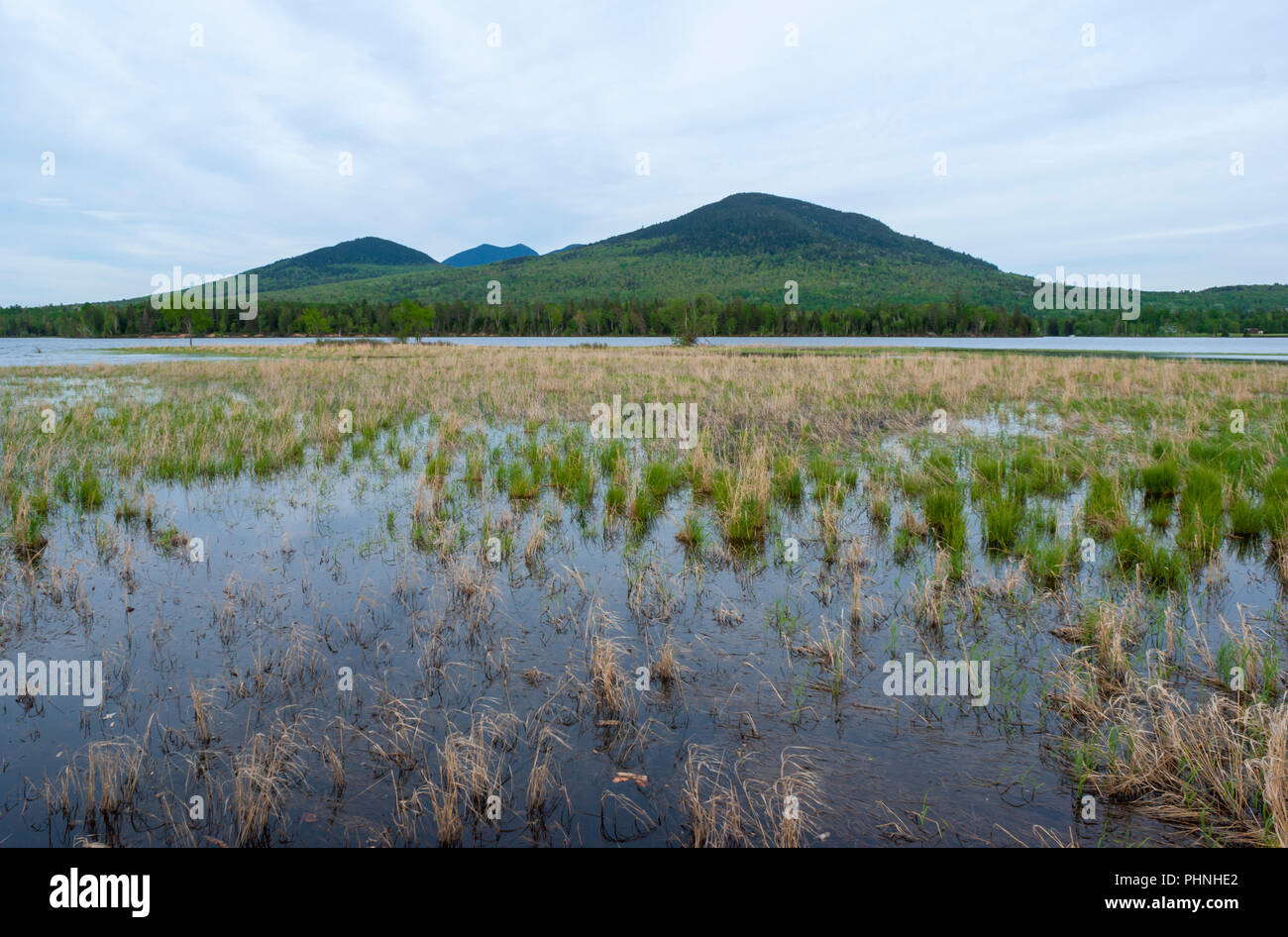 Bigelow Berg hinter der Flagstaff See. Cordgrass auf einem sumpfigen Ufer. Aussichtspunkt über Maine High Peaks Scenic Byway. Eustis, ME, USA Stockfoto