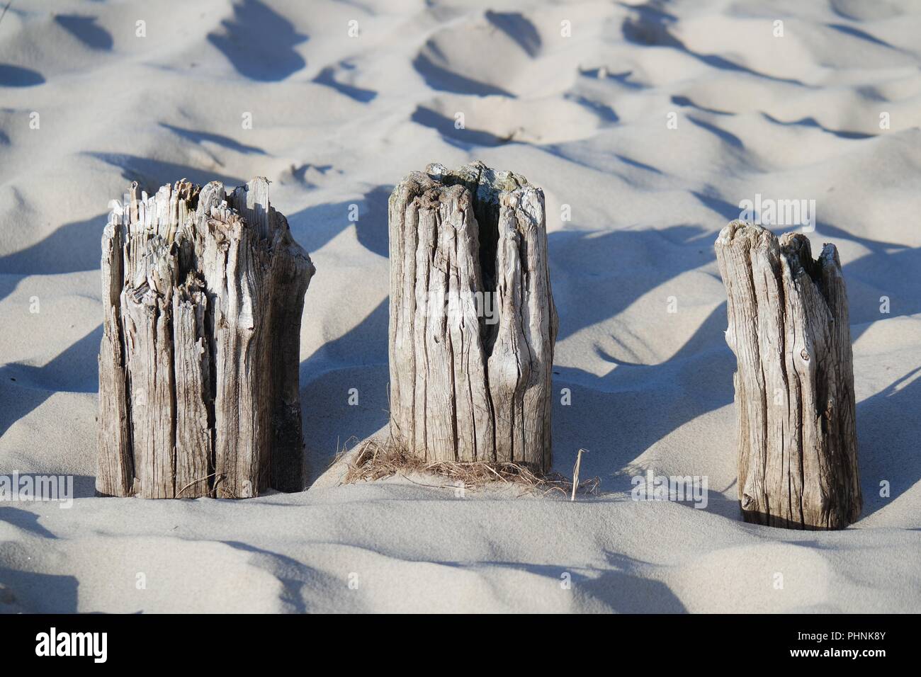 Buhnen am Sandstrand Stockfoto