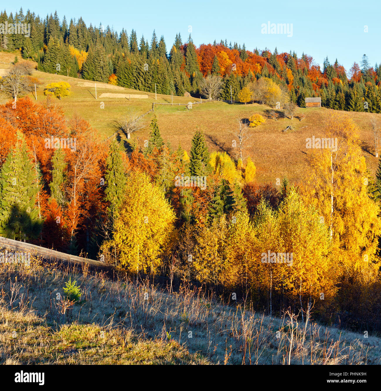 Herbst karpatischen Dorf, Ukraine. Stockfoto