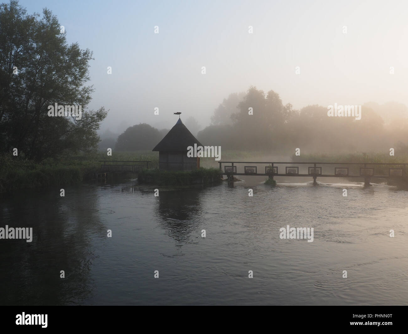 Früh Morgens Nebel auf Longstock Hampshire Stockfoto