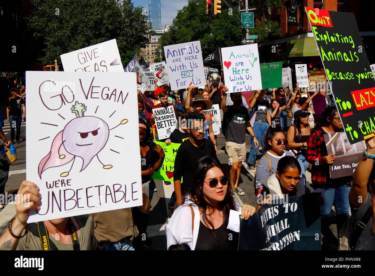 New York, NY, USA. 1. September 2018. Eine vegane Aktivistin mit einer "Go Vegan, wir Unbeetable' [sic] Zeichen auf der offiziellen Tierrechte März NYC. Stockfoto