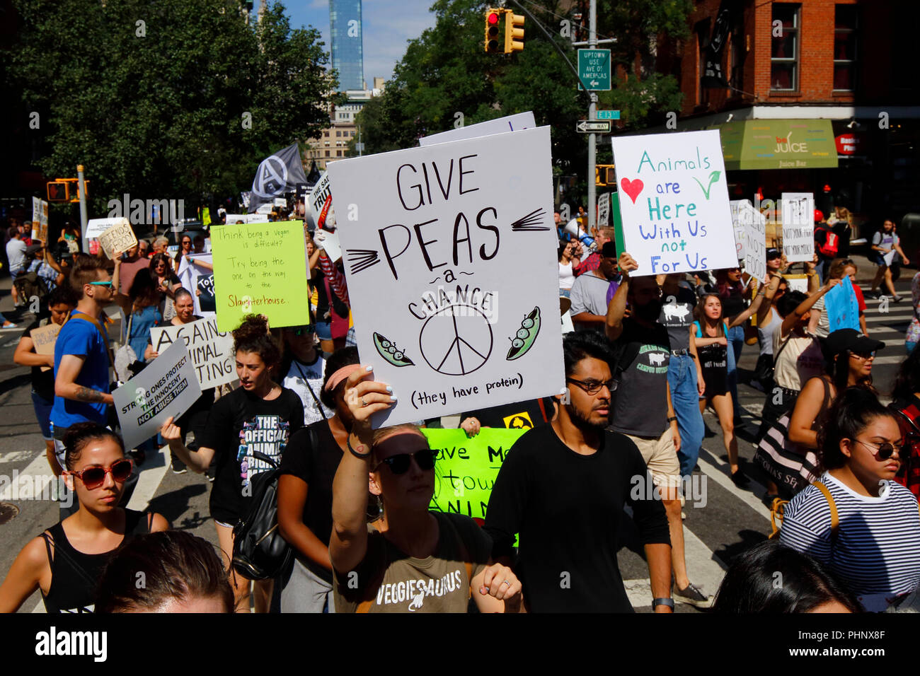 New York, NY, USA. 1. September 2018. Ein Demonstrator mit einem witzigen Schild "Erbsen eine Chance geben". Stockfoto