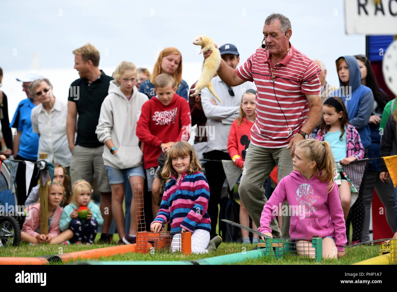 Dorchester, Dorset, Großbritannien. 2. September 2018. Dorset County zeigen, Menschenmassen genießen Sie das Frettchen Racing. Credit: Finnbarr Webster/Alamy leben Nachrichten Stockfoto